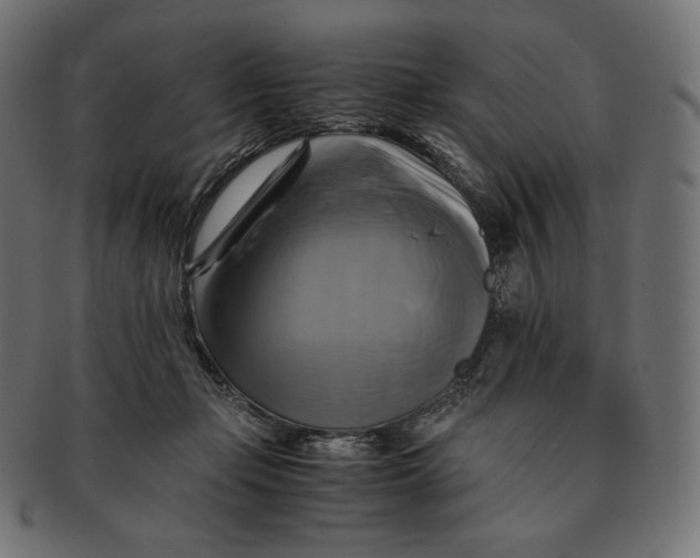 X0000091710365200709210946