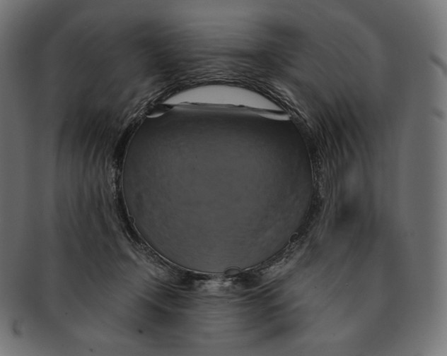 X0000091710366200709210946