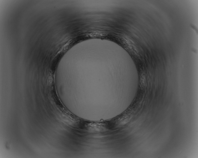 X0000091710367200709210946