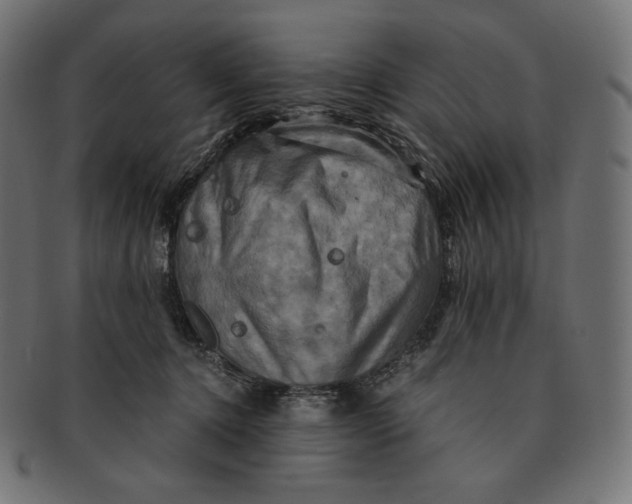 X0000091710368200709210946