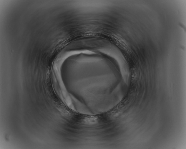 X0000091710369200709210946