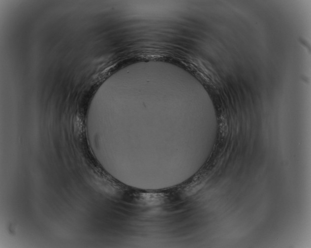 X0000091710371200709210946