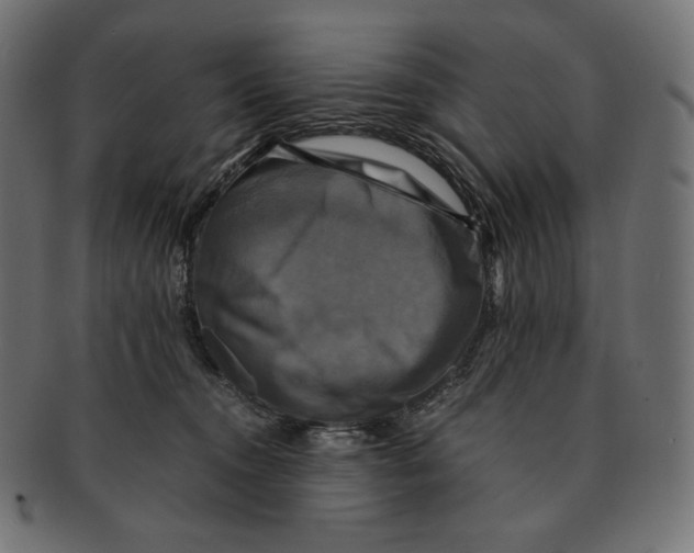 X0000091710372200709210946