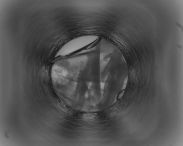 X0000091710373200709210946