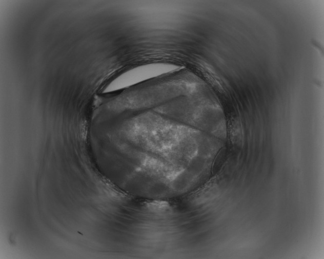 X0000091710374200709210946