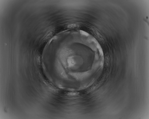 X0000091710375200709210946