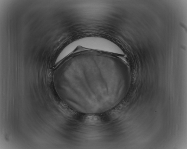 X0000091710376200709210946