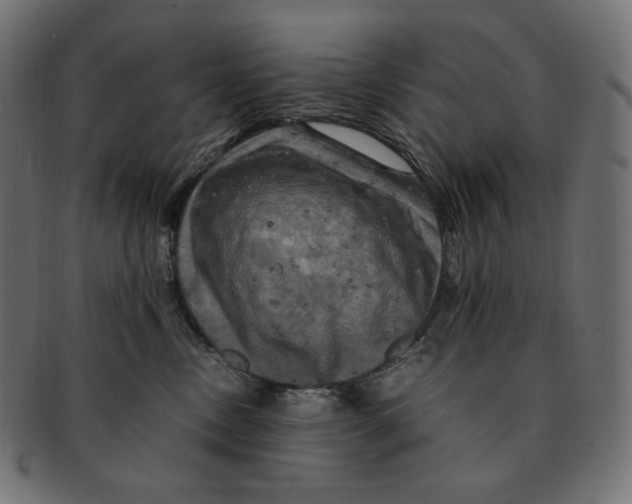 X0000091710378200709210946