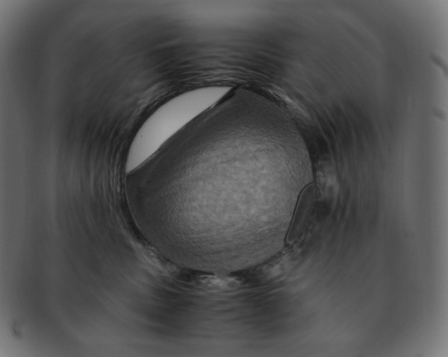 X0000091710379200709210946