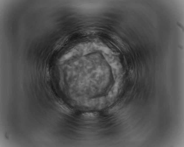 X0000091710381200709210946