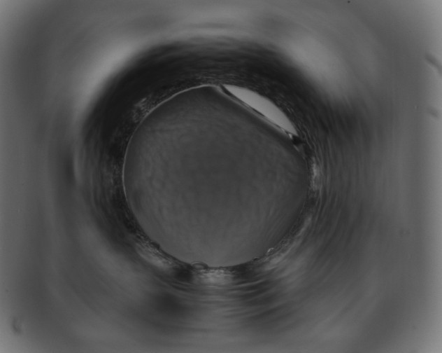 X0000091710383200709210946