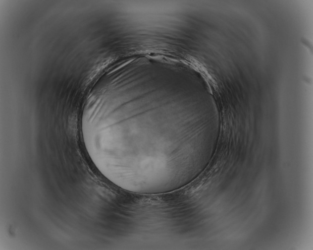 X0000091710386200709210945