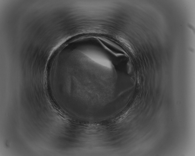 X0000091710388200709210945