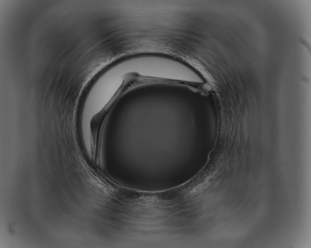 X0000091710391200709210945