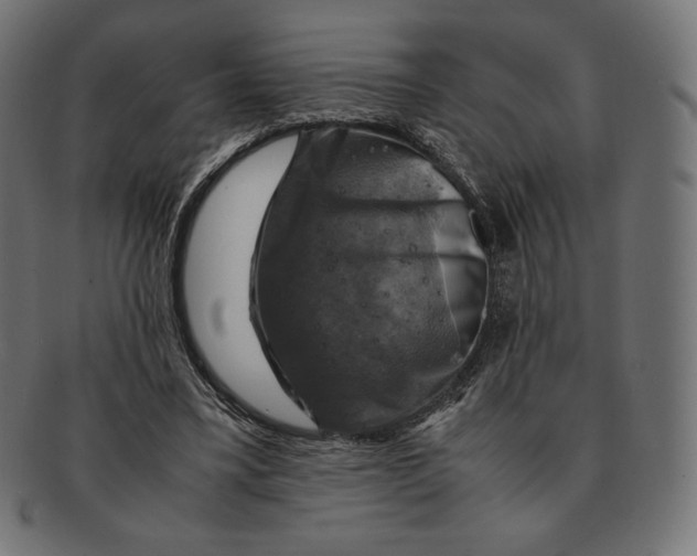 X0000091710395200709210945