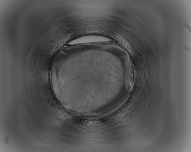 X0000091710401200709210945