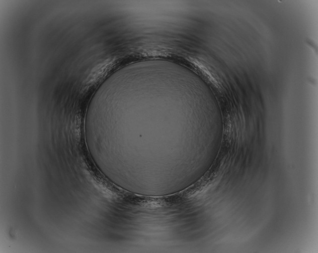 X0000091710402200709210945