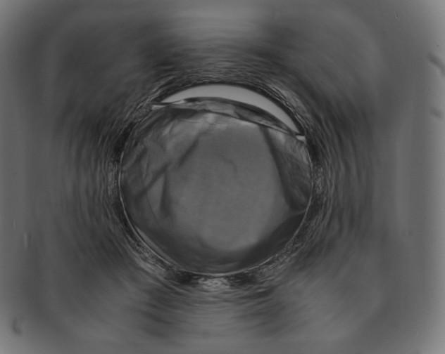 X0000091710409200709210945