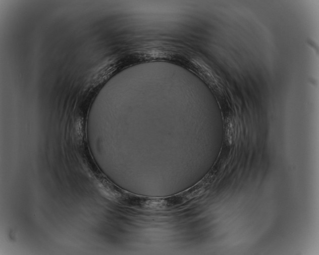 X0000091710410200709210945