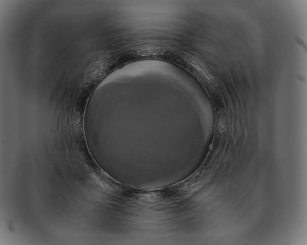 X0000091710411200709210945