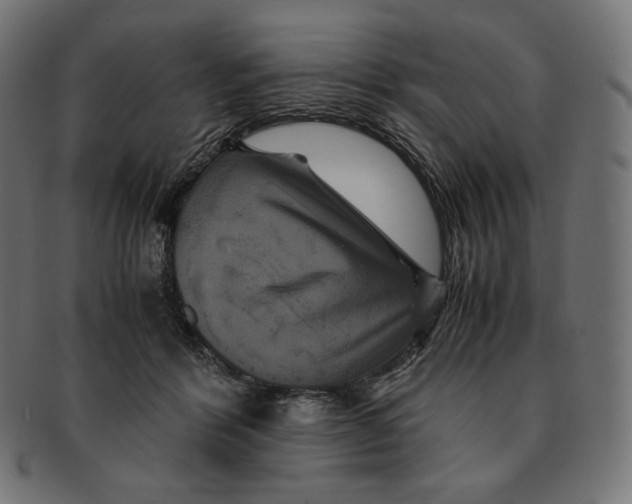 X0000091710412200709210945