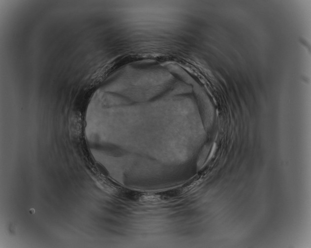 X0000091710413200709210945