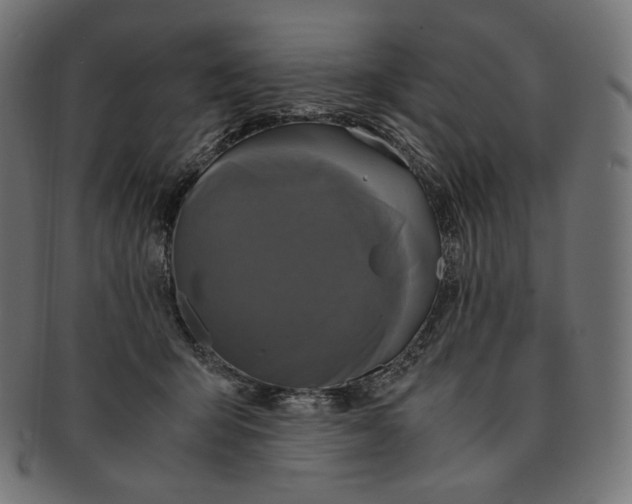 X0000091710415200709210945