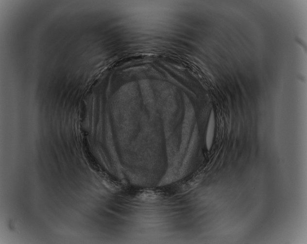 X0000091710416200709210945