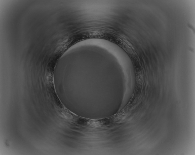 X0000091710419200709210945