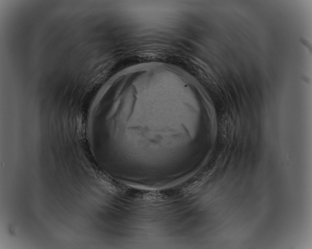 X0000091710420200709210945