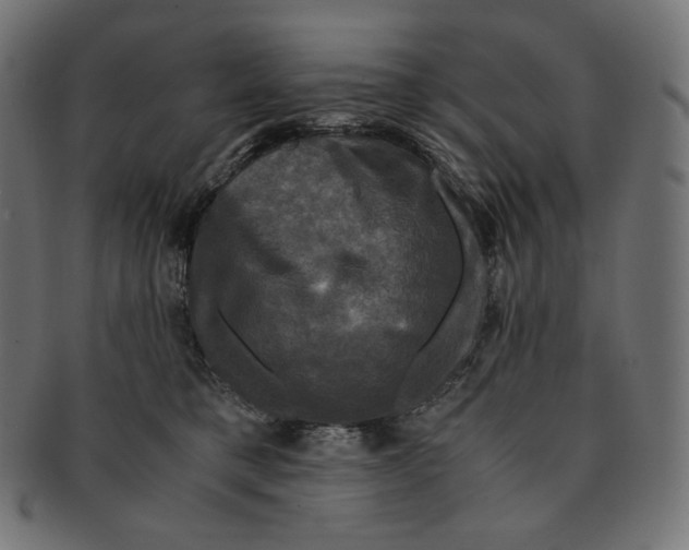 X0000091710421200709210945