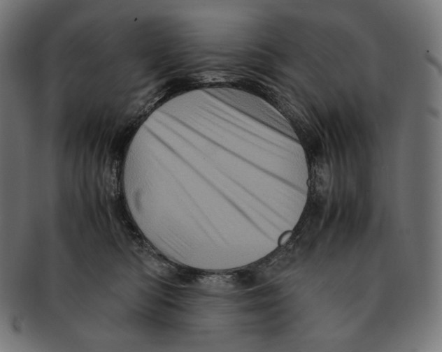 X0000091710422200709210945