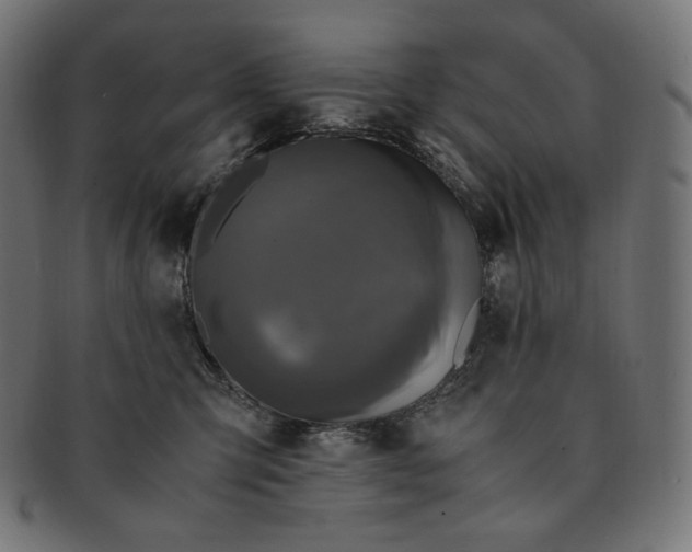 X0000091710423200709210945