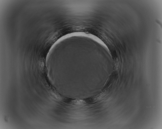 X0000091710427200709210945