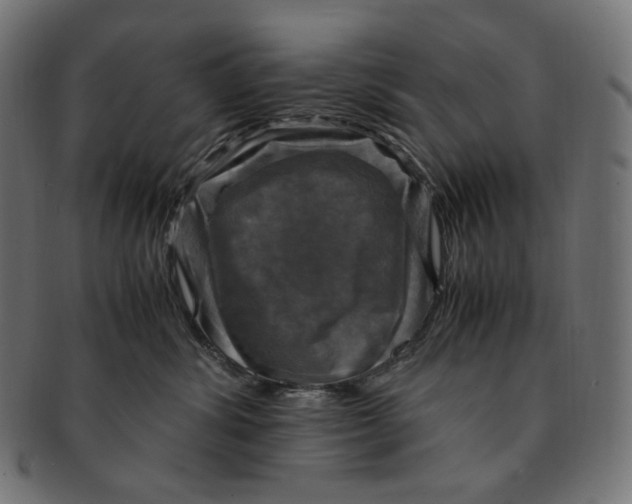 X0000091710428200709210945