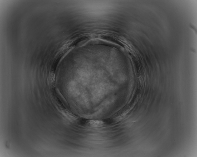 X0000091710429200709210945