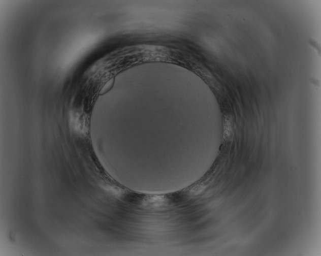 X0000091710431200709210945