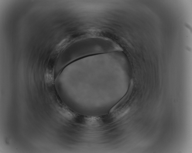 X0000091710432200709210945