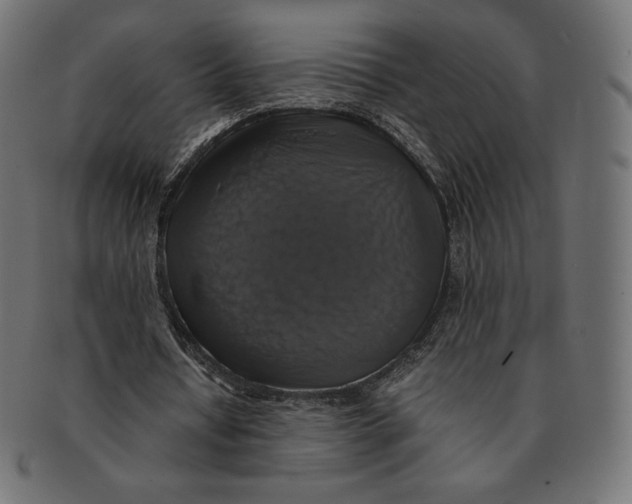 X0000091710434200709210944