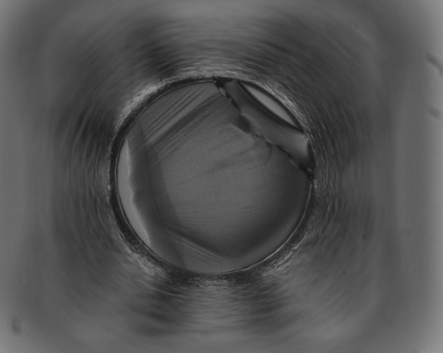 X0000091710438200709210944