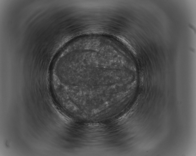 X0000091710439200709210944