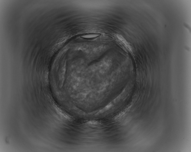 X0000091710441200709210944