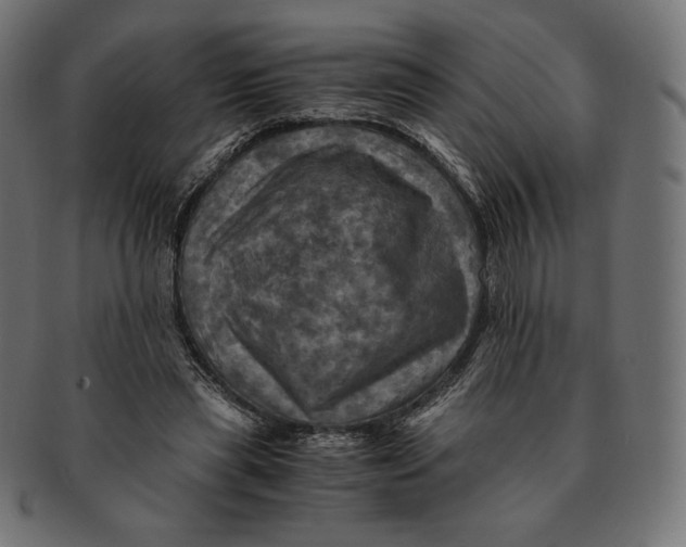 X0000091710445200709210944