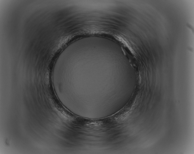 X0000091710447200709210944