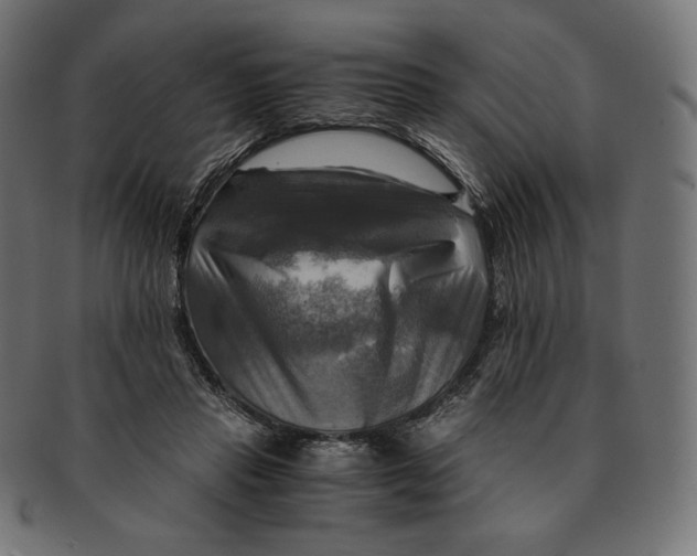 X0000091710453200709210945