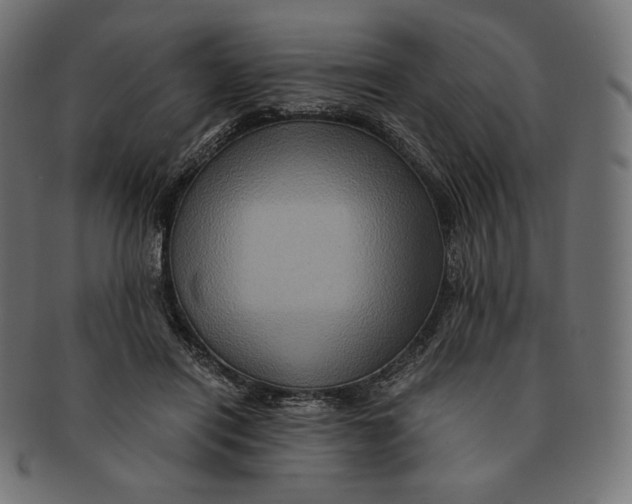 X0000091710454200709210945