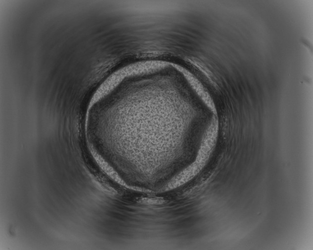 X0000091710455200709210945