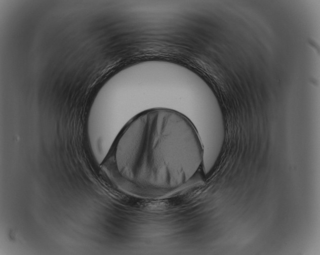 X0000091710456200709210945