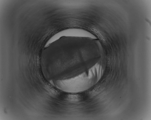 X0000091710457200709210945