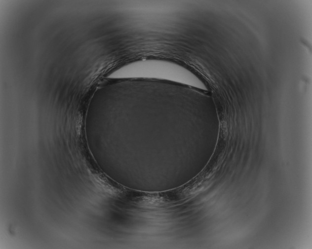 X0000091710458200709210945